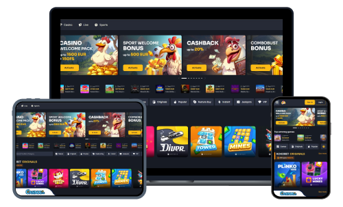 Voorbeeld van bonusvoorwaarden en regels